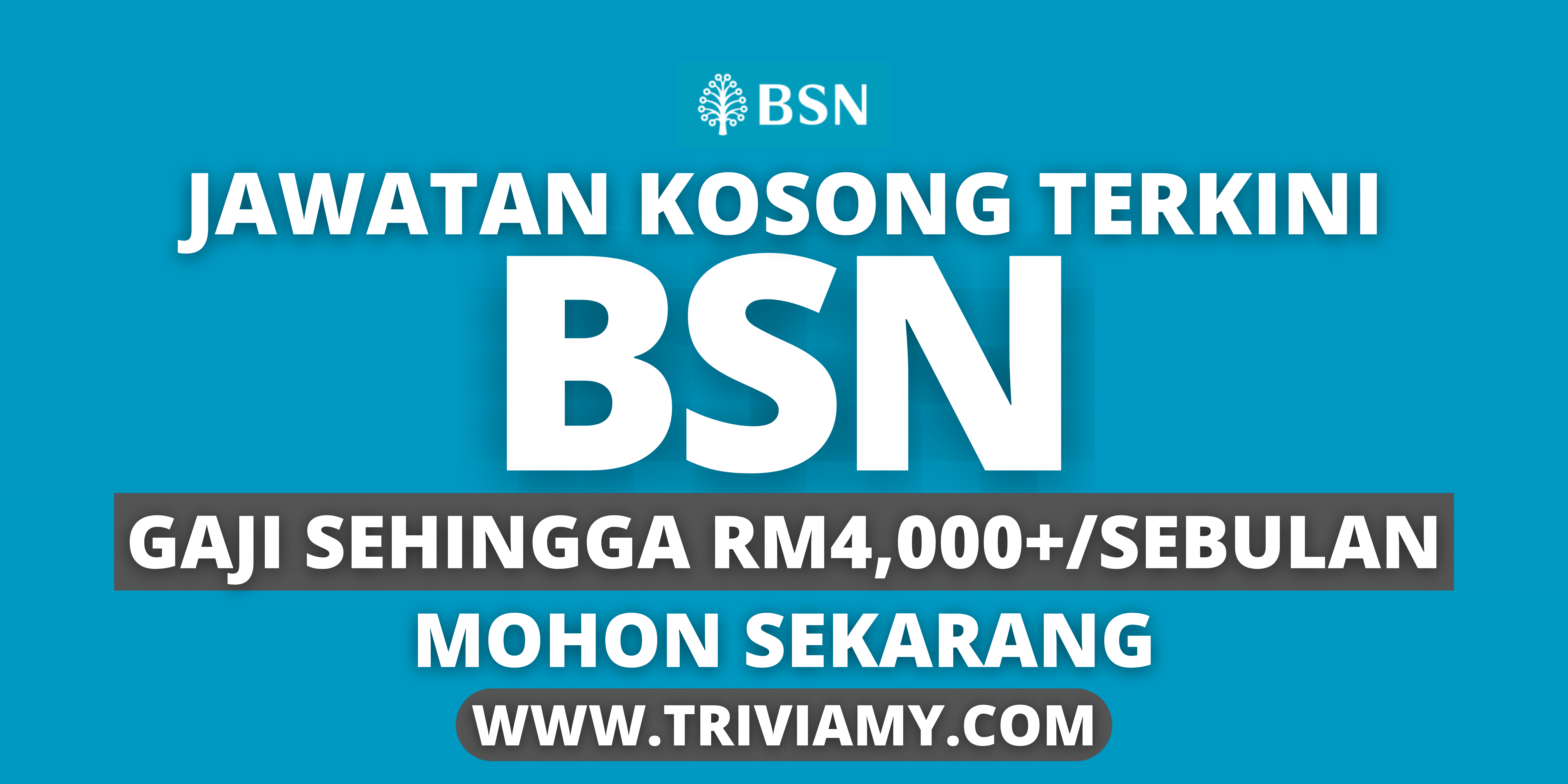 BSN 1