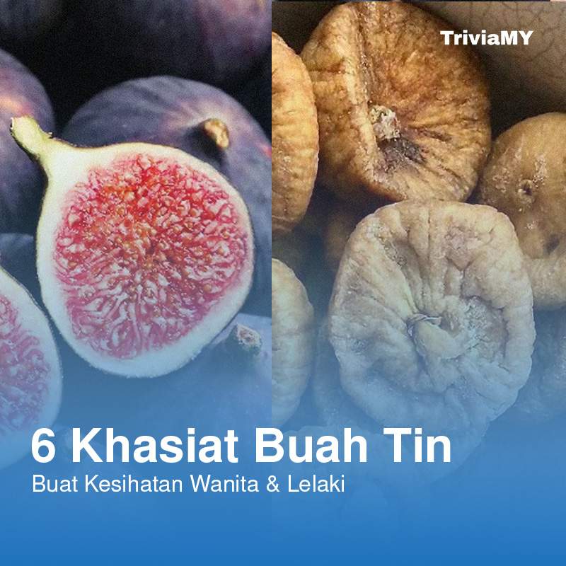 6 Khasiat Buah Tin Untuk Kesihatan Wanita & Lelaki