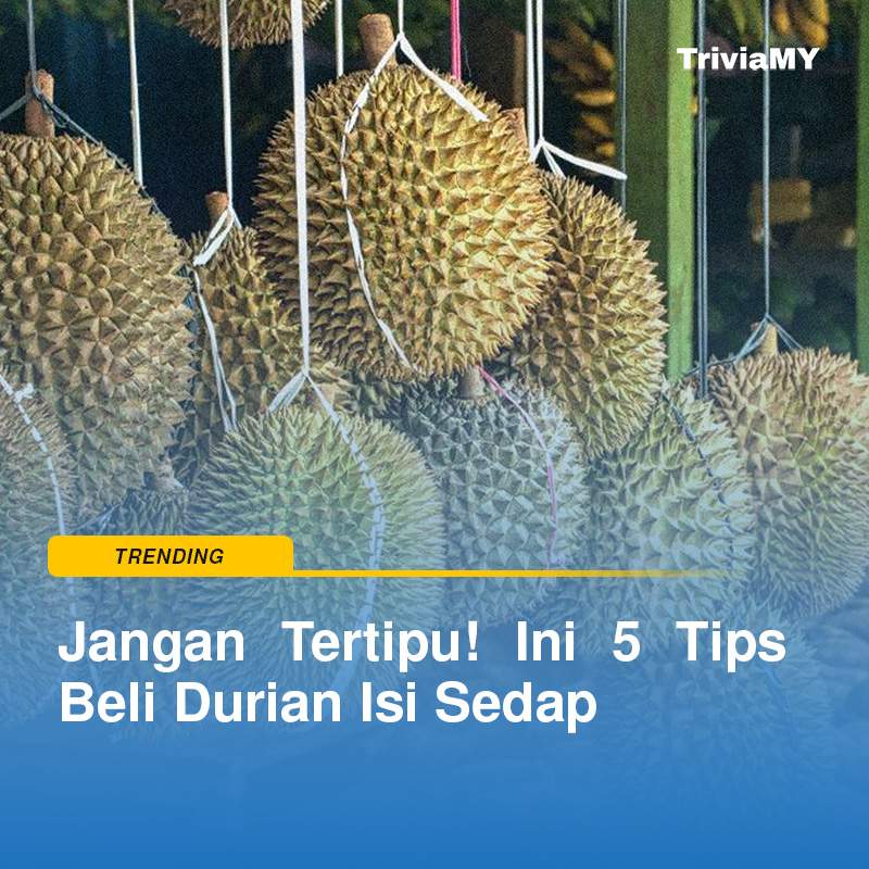 Jangan Tertipu! Ini 5 Tips Beli Durian Isi Sedap