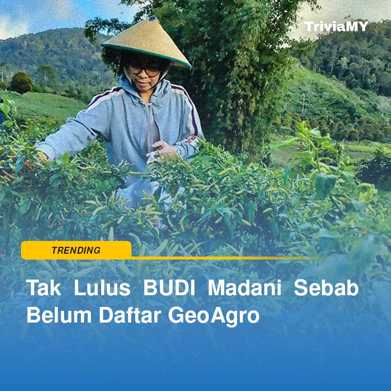 Tak Lulus BUDI Madani Sebab Belum Daftar GeoAgro